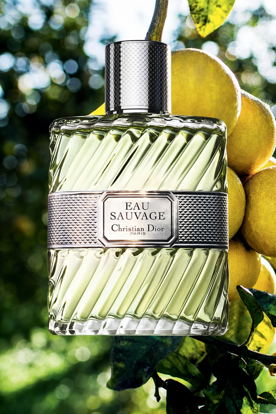 DIOR Eau Sauvage - Eau de Toilette